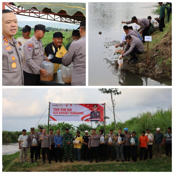 GridArt_20251019_123840603