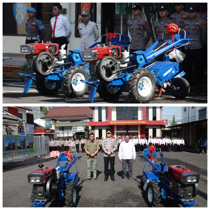 GridArt_20251021_084917865