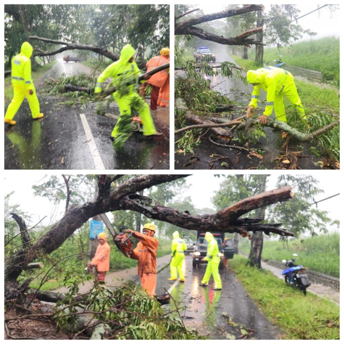 GridArt_20251027_080108708