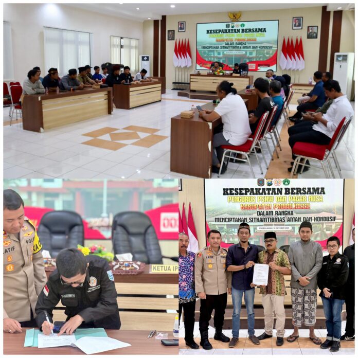 InCollage_20251031_123028919