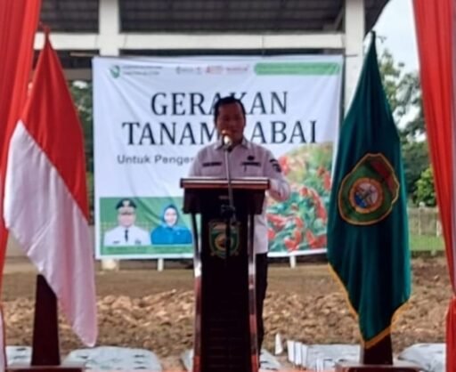 Kodam II/Sriwijaya Dukung Gerakan Tanam Cabai untuk Kendalikan Inflasi di Sumsel