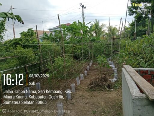 Polres OI Melalui Polsek Muara Kuang Cek Perkembangan Lahan Desa Percontohan P2B Desa Serikembang