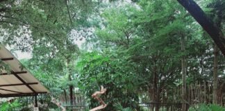 Branchsto Sebagai Salah Satu Pilihan Objek Wisata di Kawasan BSD