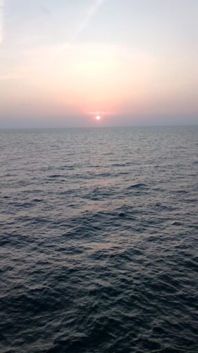 Wartain Banten: Menghadapi Penurunan Populasi Ikan di Lautan Selatan