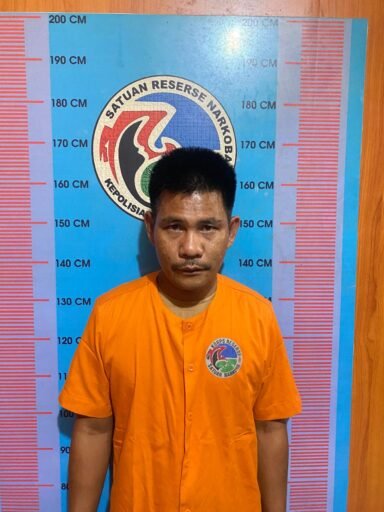 Tim Opsnal Satresnarkoba Polres Madina Tangkap Bandar Narkoba, 1,5 Ons Sabu Disita