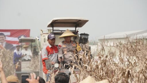 Kapolda Jatim Pimpin Panen Raya Jagung Hibrida di Sidoarjo