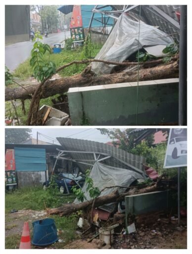 Hujan Deras Mengguyur Batam 24 Jam,Akibatkan Pohon Tumbang dan Nyaris Menimpa Rumah Warga Botania