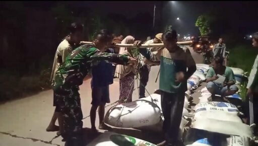 Pastikan Aman dan lancar Babinsa Padurenan Dampingi Penyerapan Gabah oleh BULOG Poktan Jambon Jaya