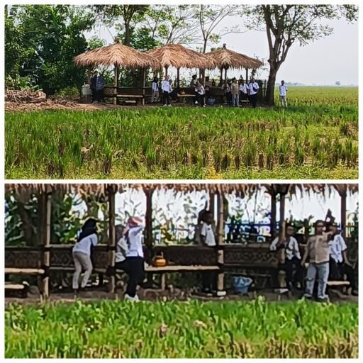 Dana Desa Rp 830 Juta: Saung Gazebo dan Irigasi Misterius di Ciasem Baru