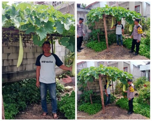 Ngimbang Melaksanakan Pengecekan Program Pekarangan Pangan Bergizi Di Desa Ngimbang