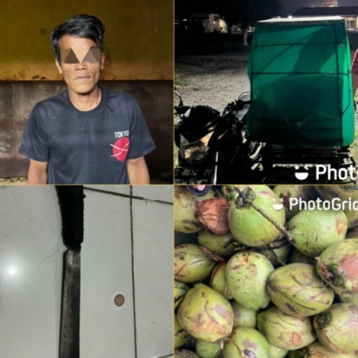 Berkali-kali Lakukan Aksi Pencurian, Kini Naas..Pelaku Ditangkap Polisi Polsek Indralaya Ogan Ilir