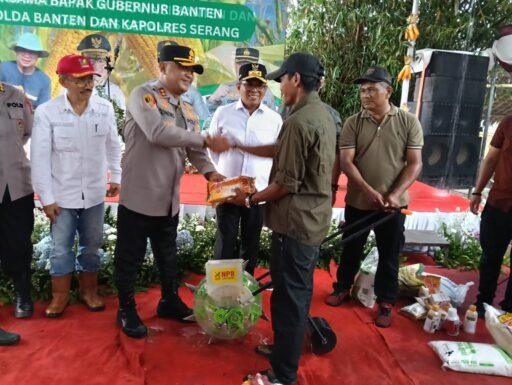 Program Asta Cita Swasembada Pangan,Gubernur Banten dan Kapolres Serang Melaksanakan Panen Jagung