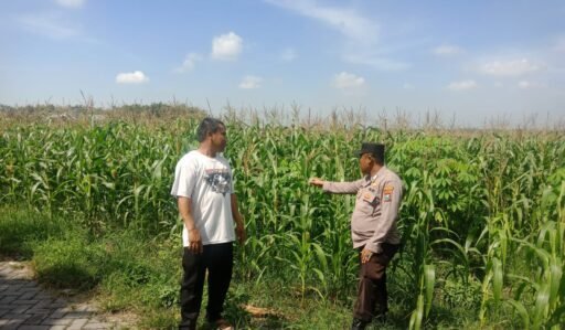 Polsek Ngimbang Melaksanakan Kegiatan Pengecekan Program Pangan Bergizi Di Desa Sendangrejo