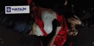 Pohon Tumbang di Jalan Lingkar Rembang, Akibatnya 1 Pengendara Meninggal