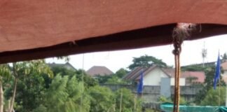 Pinjol: Kemudahan yang Berujung Petaka bagi Rakyat Kecil