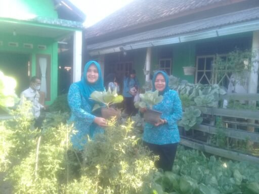 TP PKK Kota Prabumulih Kunjungi KWT Seroja dan UP2K PKK Delima Kelurahan Cambai