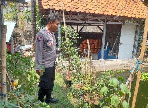 Sambang dan Monitoring Ketahanan Pangan oleh Bhabinkamtibmas Kelurahan Jatirahayu