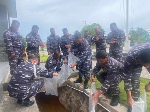 Danlanal Bintan Tabur Bibit Ikan Nila Untuk Mengurangi Pertumbuhan Jentik Nyamuk Di Lingkungan