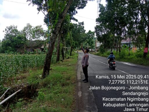 Polsek Ngimbang Menggelar Patroli Antisipasi Pohon Tumbang Di Wilayah Ngimbang