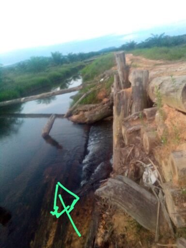 Pak Bupati Madina Bantu Kami Agar Menejer PT Rendi Memperbolehkan kami lewat untuk mencari nafkah