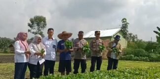 Persiapan Lokasi P2B Desa Pangkul Jaya Kota Prabumulih