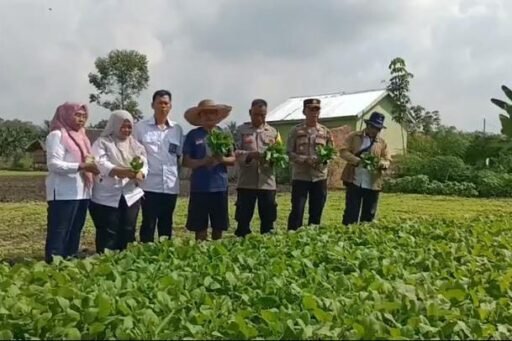 Persiapan Lokasi P2B Desa Pangkul Jaya Kota Prabumulih