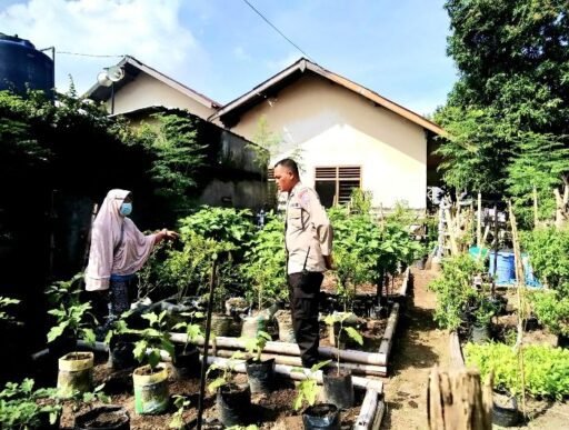 Dukung Ketahanan Pangan, Bhabinkamtibmas Pejanggik Rutin Pantau Kebun Pekarangan Warga