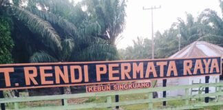 Masyarakat desa Singkuang 1 minta direktur, pecat Meneger PT Rendi Permata Raya,