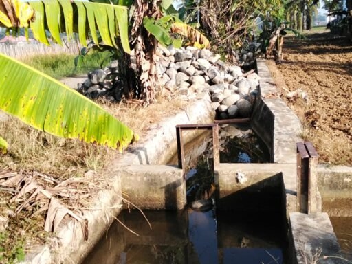 Krisis Irigasi di Desa Lubuk Sanai II: Petani Menjerit oleh Matrial Batu Menutupi Siring irigasi