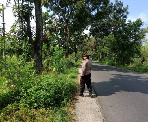 Polsek Ngimbang Menggelar Patroli Antisipasi Pohon Tumbang Di Wilayah Ngimbang