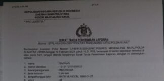 Pak Kapolres Tangkap Pelaku Perusakan Tanaman sawit dikebun saya.