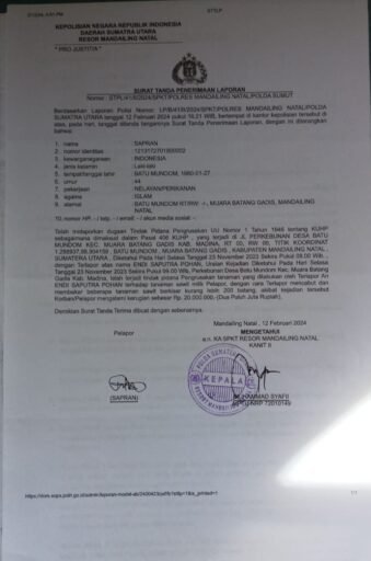 Pak Kapolres Tangkap Pelaku Perusakan Tanaman sawit dikebun saya.