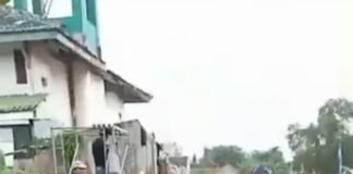 Tragis,Karapan Sapi Bupati Cup 2025 di Sumenep , Menelan Korban Jiwa