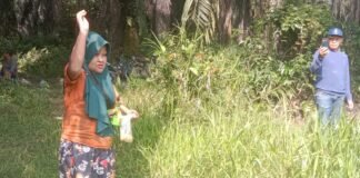 Demi Terjaganya Ekosistem Sungai, Kelompok Nelayan Lubuk Angkang Adakan Ritual Menotau