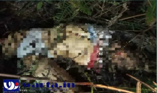 Tragedi di Umbul Lima: Serangan Satwa Buas Menewaskan Warga Lansia