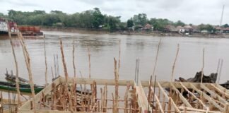 Komitmen membangun desa, kades tanjung kurung bangun infrastruktur drainase dan jalan beton