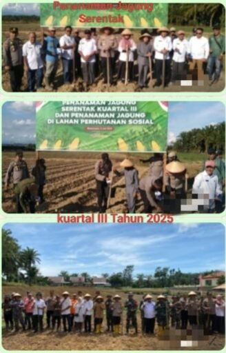 Kapolres Mukomuko Pimpin Penanaman Jagung Serentak, Dukung Swasembada Pangan Nasional!