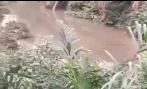 Warga Mukomuko Resah, Pabrik Sawit dan Karet Milik Agromuko Diduga Buang Limbah ke Sungai.