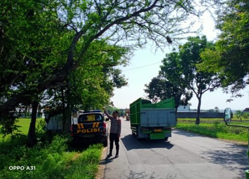 Polsek Ngimbang Menggelar Patroli Antisipasi Pohon Tumbang Di Jalan Raya Ngimbang – Jombang
