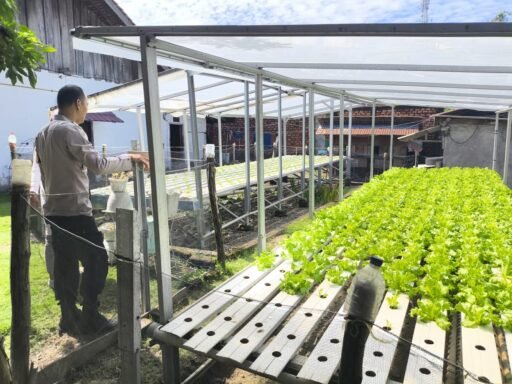 Dari Pekarangan Jadi Ladang Harapan: Polres Muara Enim Dorong Warga Wujudkan Ketahanan Pangan