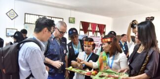 Hari Kedua Revalidasi, Asesor UNESCO Ingin Masyarakat Tahu Betapa Spesialnya Danau Toba