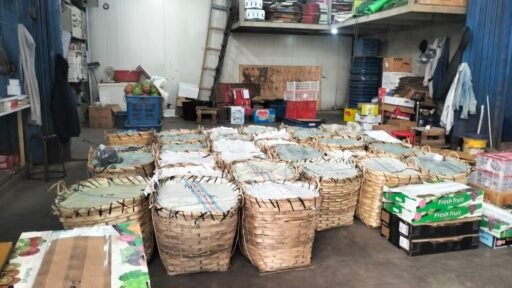 Buah Ilegal dari Malaysia Diduga Masuk Bebas ke Pontianak, Aparat Diminta Bertindak!