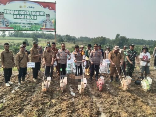 Sukseskan Kuartal III Program Ketapang,Kapolres Tanam Raya Jagung Seluas 1,5H di Kecamatan Jawilan