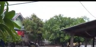 Masyarakat Desa Sari Kenanga Minta Perhatian Pemda kabupaten Mandailing Natal