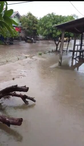 Masyarakat Desa Sari Kenanga Minta Perhatian Pemda kabupaten Mandailing Natal