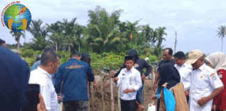 Gampong Suak Raya Kembangkan Ketahanan Pangan Melalui Dana Desa, Targetkan Peningkatan PAD