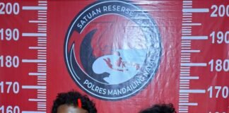 Lian dan Ucok Lolom Ditangkap Polisi Ketika Transaksi Narkoba di Batas Madina-Tapsel