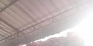 Dugaan Praktik Ilegal di Ruko Dekat Polres Kubu Raya: Bawang Ilegal Malaysia