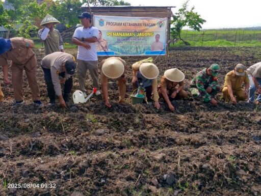 POLSEK INDRALAYA POLRES OGAN ILIR LAKSANAKAN PENANAMAN JAGUNG DALAM PROGRAM KETAHANAN PANGAN