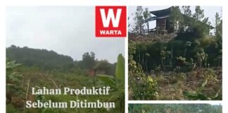 Pemilik dan Pengelola Lahan di Batu Besar Tuntut Hak atas Ganti Rugi Lahan Produktif yang Tertimbun Oleh Proyek Cut And Fill PT.SBI